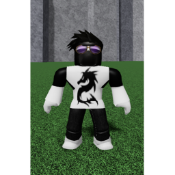 The shadow training