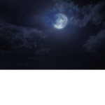 TheDarkMatterGroup