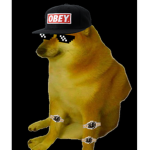 Yt on roblox