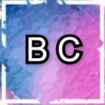 Bry Clothing