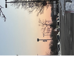 Roblox photographer official