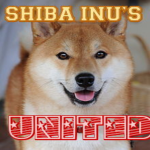 Shiba Inu's United