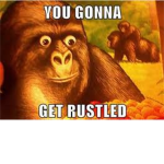 the jimmy rustlers