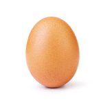 Eggs forever!