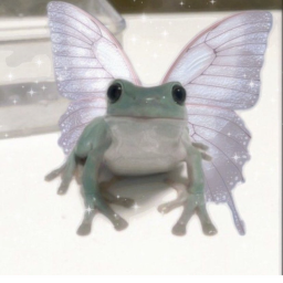 Froggie's Clothing Shop's Homestore