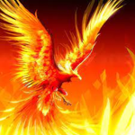 FT Gaming Group