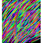 Color is every were!