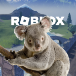 Koalas 4 Life