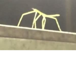 Stick of bugs