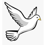 _Bird_Land_