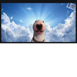 Doggos World