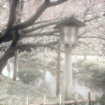  ‿︵꒰ ୨୧ ꒱︵‿