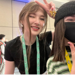 Dream smp and ranboo fan group!!