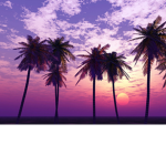 Chill Sunsets