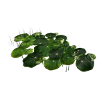 Roblox entity thumbnail