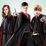 ~~ Harry Potter Fans ~~