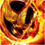 Hunger Games Group (Catching Fire, Mocking Jay)