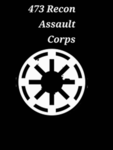 473rd Recon Assault Corps