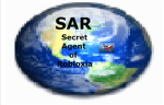 Secret Agents of ROBLOXIA (SAR)