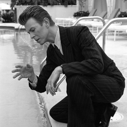 David bowie icon