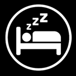 The Big Sleep