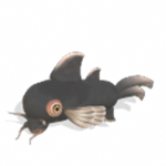 the catfish club