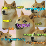 The doge studio, Doge for life.