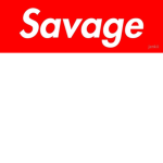 Crazy SAVAGE Group