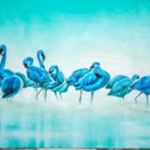 The Royal Flamingos
