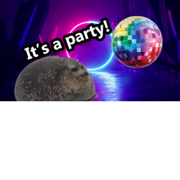 Seel's Disco Party