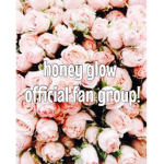 honey glow’s fan group!