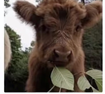 Faithful in God my aunt has a shop