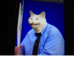 The illuminati cat