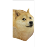 Dogeeeeeeeeeeeeeé