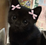 Simplyy stormy!