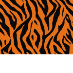 The Clan Of The Tiger