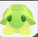 Kangroo and turtle