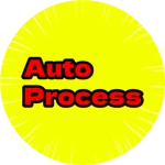 Auto Process
