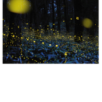 FireFlyStars