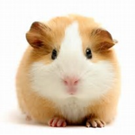 real madrid cr7