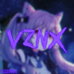 vzn2