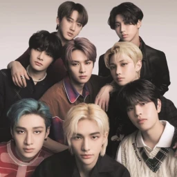 Stray Kids tower  icon