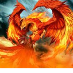 Flaming Phoenix Studio's