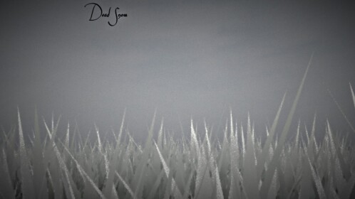 Dead Snow