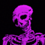 Skelsia