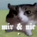 miv & nic