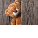The very cute teddy bears fluffy