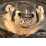 Badger and Friends