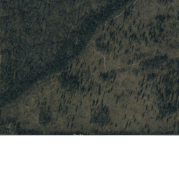 TRAILS