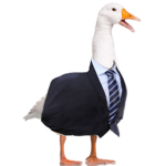 The Business Geese